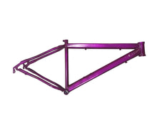 Cargar imagen en el visor de la galería, CUADRO PARA BICICLETA RIN 29
