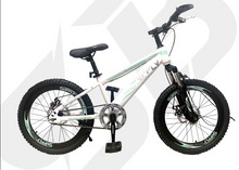 Cargar imagen en el visor de la galería, BICICLETAS 20 BMX SUPPLY
