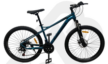 Cargar imagen en el visor de la galería, BICICLETAS 26 MTB REFORZADAS
