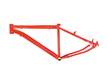 Cargar imagen en el visor de la galería, CUADRO PARA BICICLETA RIN 29
