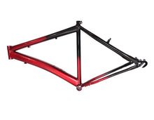 Cargar imagen en el visor de la galería, CUADRO PARA BICICLETA RIN 26
