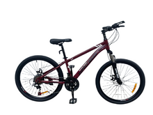 Cargar imagen en el visor de la galería, BICICLETAS 24 MTB SUPPLY
